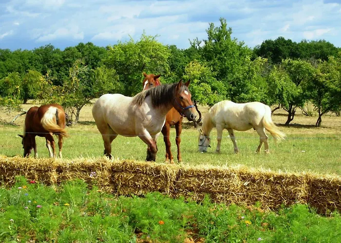 度假居 Domaene Mit Jacuzzi By Interhome